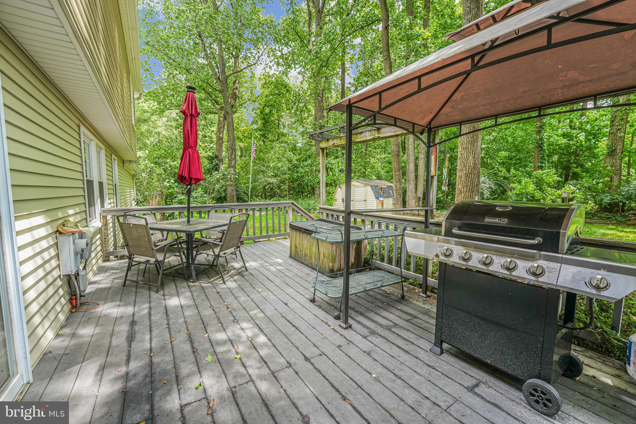 12250 Angel Wing Court Reston, VA 20191 - Photo 64 of 69 What a terrific outdoor living space!