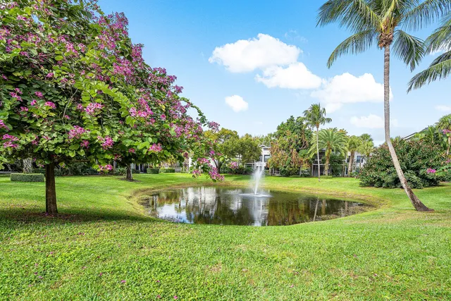 a view of a garden with a lake