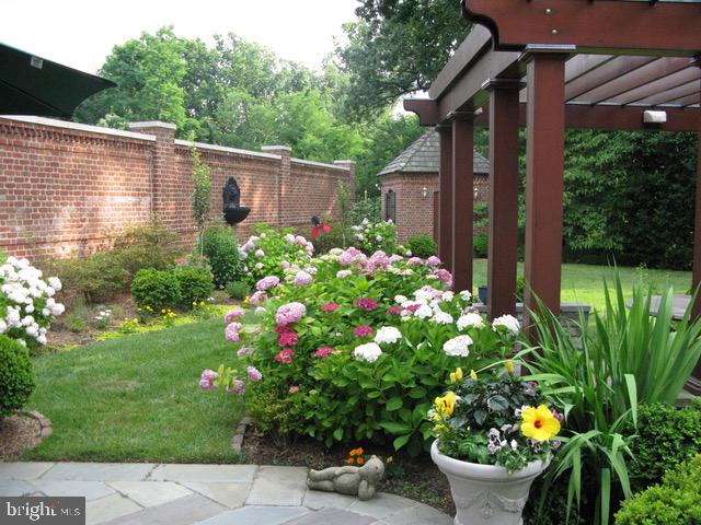 3720 Seminary Road Alexandria, VA 22304 - Photo 35 of 40 Walled Garden in Bloom