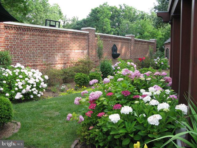 3720 Seminary Road Alexandria, VA 22304 - Photo 36 of 40 Walled Garden in Bloom