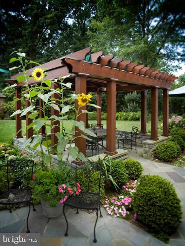 3720 Seminary Road Alexandria, VA 22304 - Photo 38 of 40 Pergola With Sunflowers