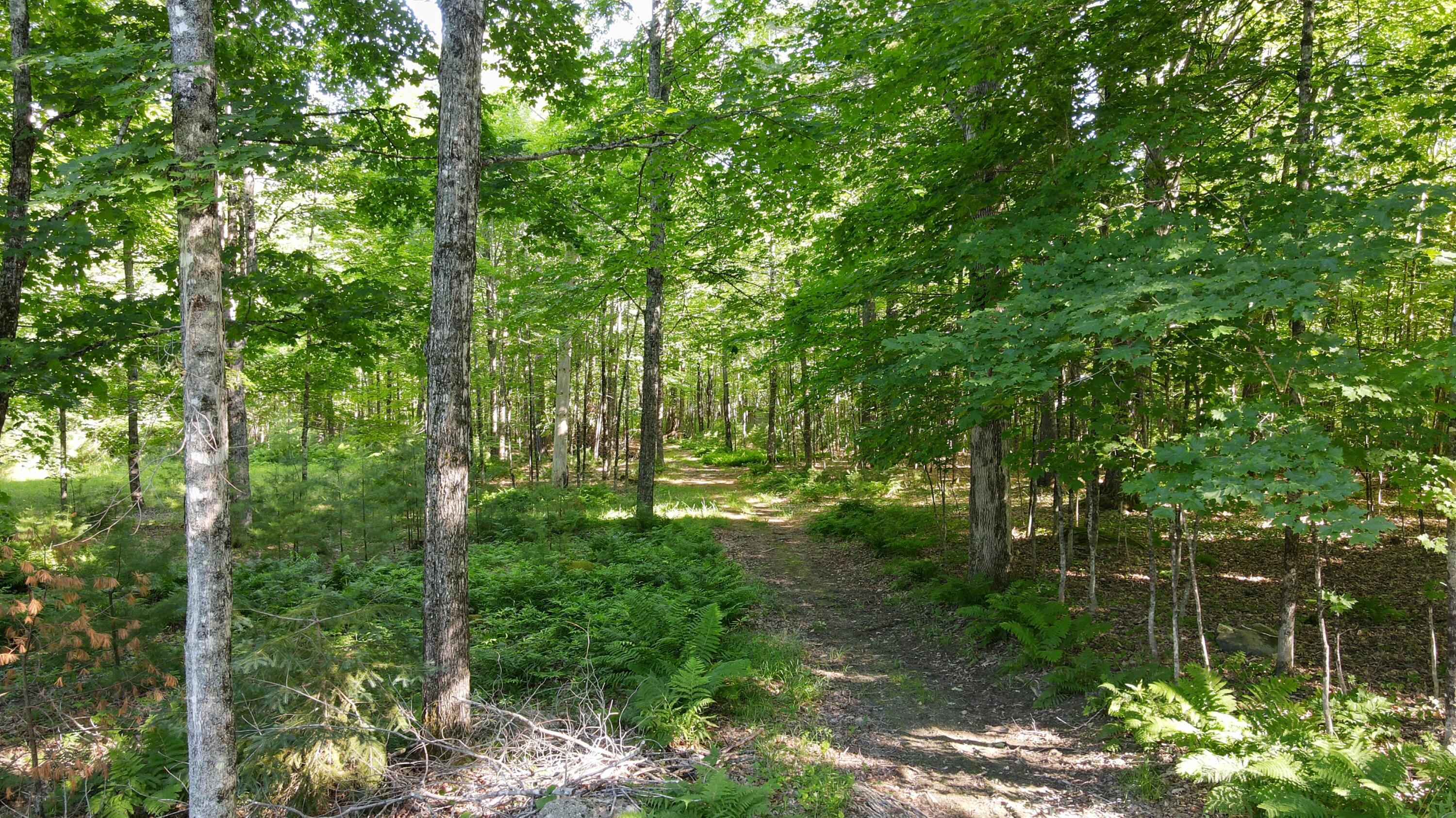 468 Shore Road Dexter, ME 04930 - Photo 21 of 32 555