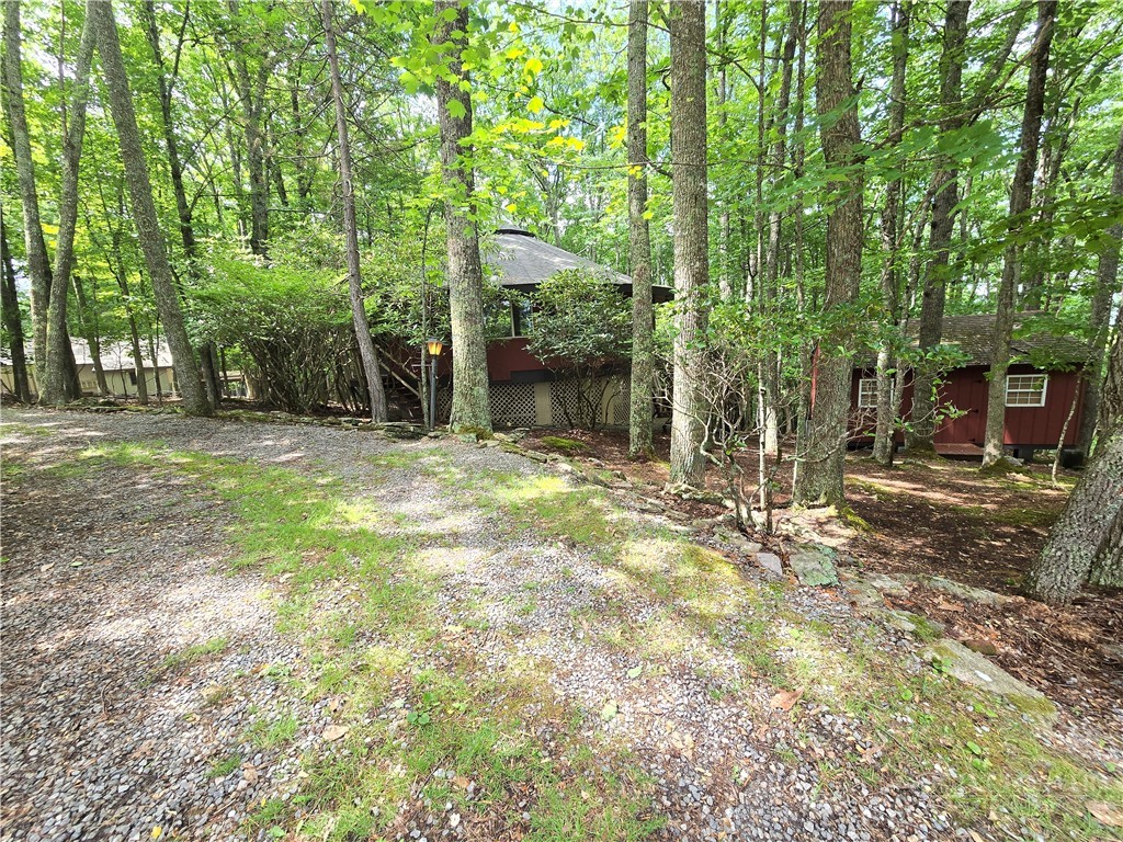 825 Pine Ridge Road Beech Mountain, NC 28604 - Photo 28 of 36