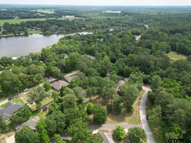 an aerial view of residential houses with outdoor space and trees