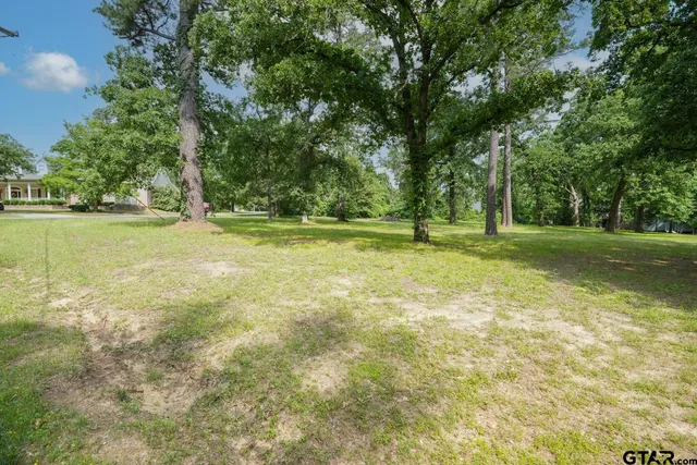 a view of a field with trees in the background