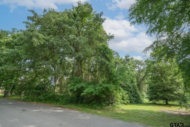 a view of a yard with plants and a large tree