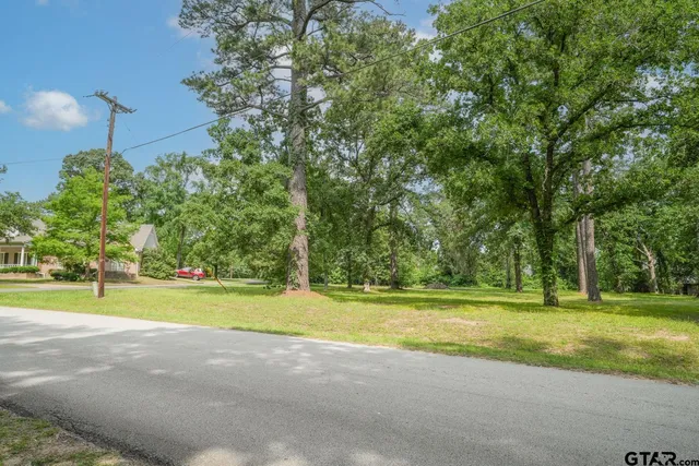 a view of a big yard with palm trees