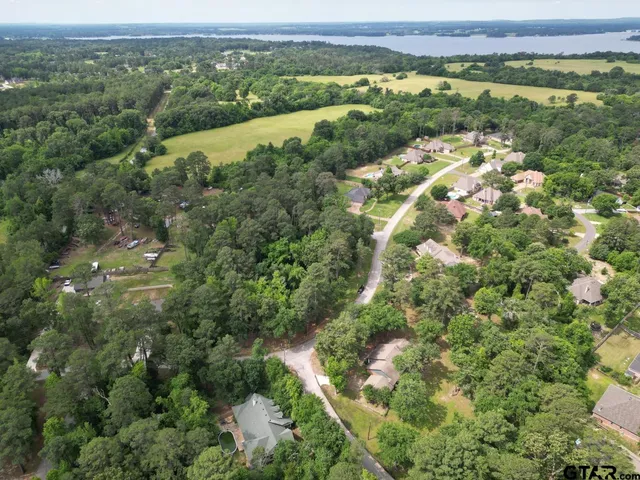 an aerial view of a houses with a lush green hillside