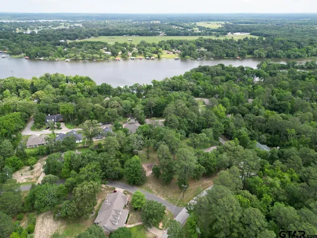 an aerial view of green landscape with trees houses and lake view