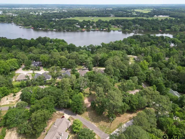 an aerial view of green landscape with trees houses and lake view