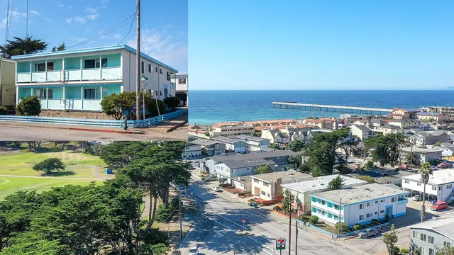 a view of a grassy field with an trees
