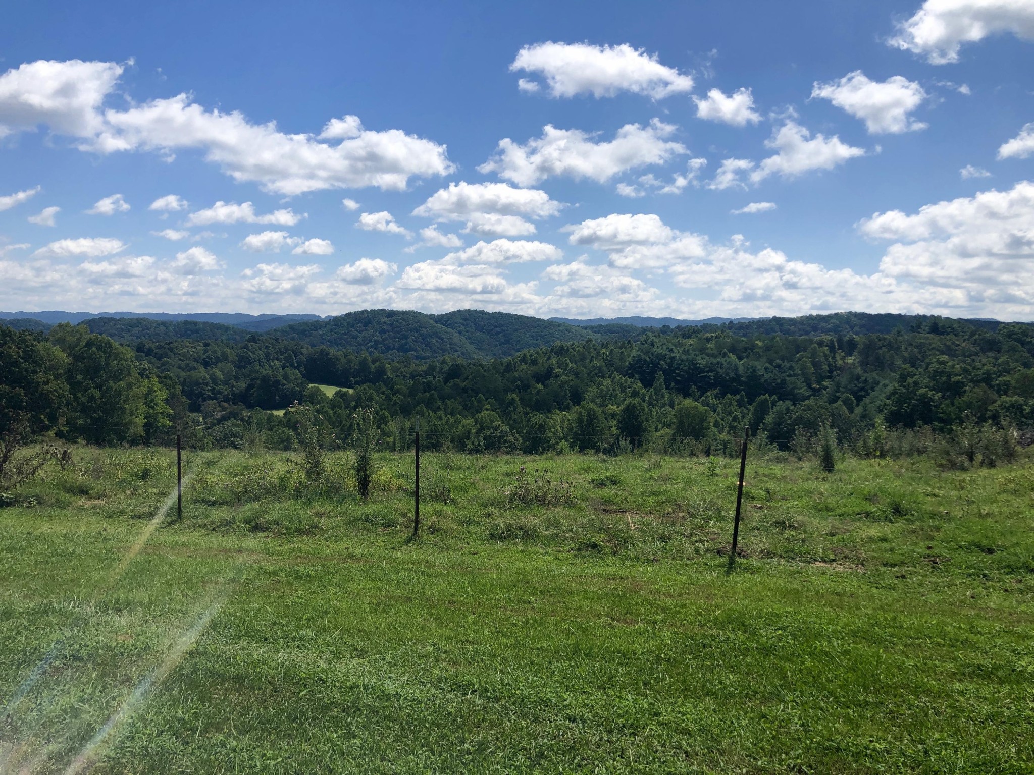 284 Castle Road Road Eidson, TN 37731 - Photo 5 of 40 Gallery Image 5