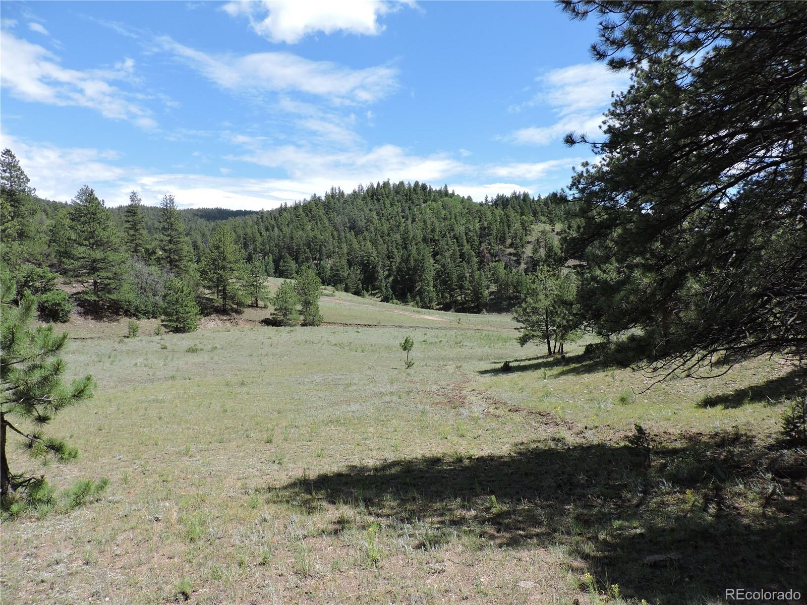 Gulch Road Canon City, CO 81212 - Photo 1 of 20 Gallery Image 1