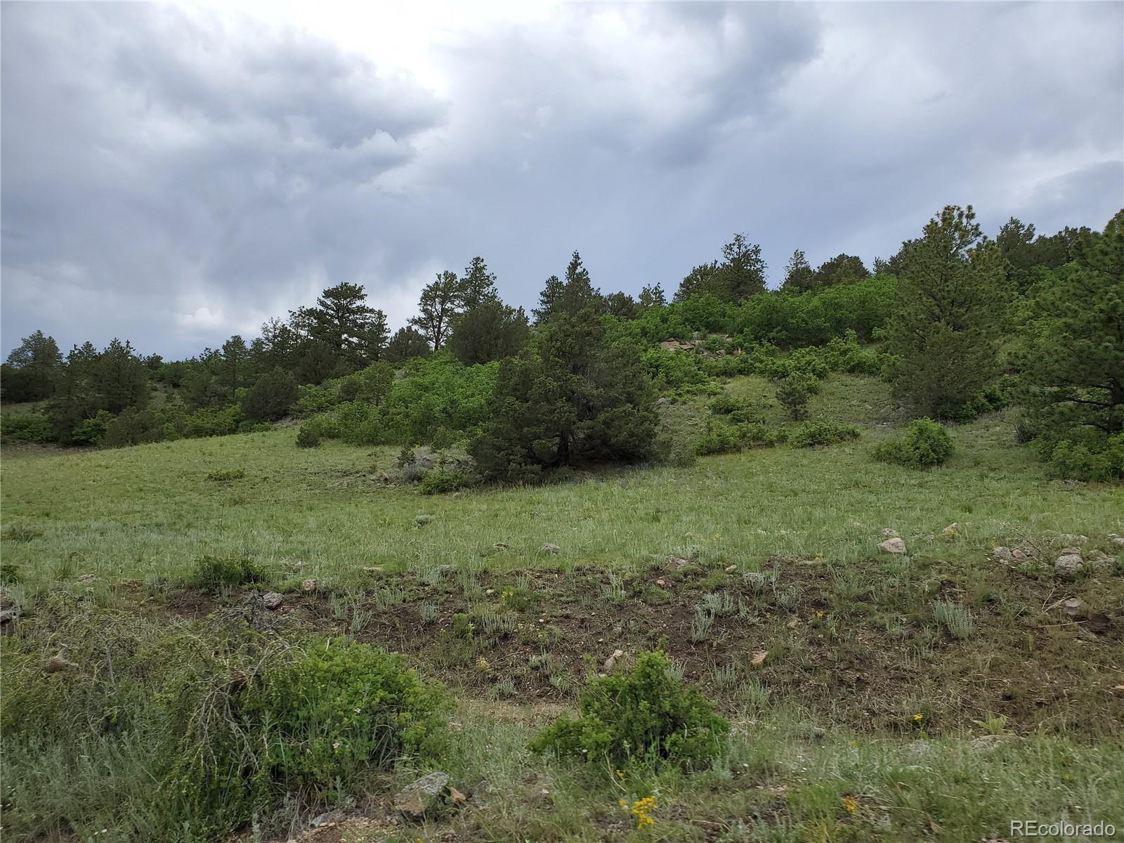 Gulch Road Canon City, CO 81212 - Photo 12 of 20 Gallery Image 12