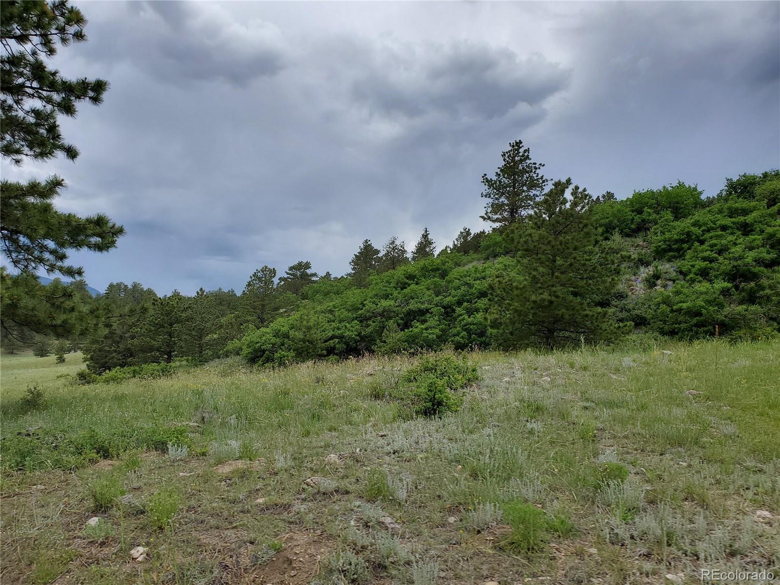 Gulch Road Canon City, CO 81212 - Photo 14 of 20 Gallery Image 14