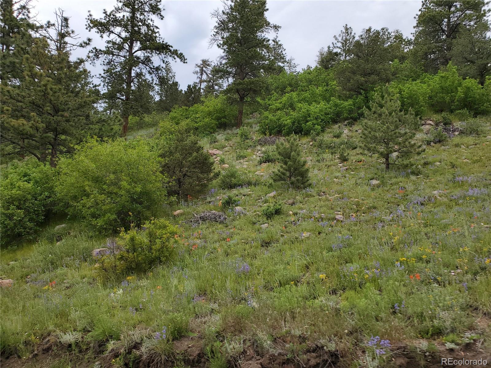 Gulch Road Canon City, CO 81212 - Photo 16 of 20 Gallery Image 16
