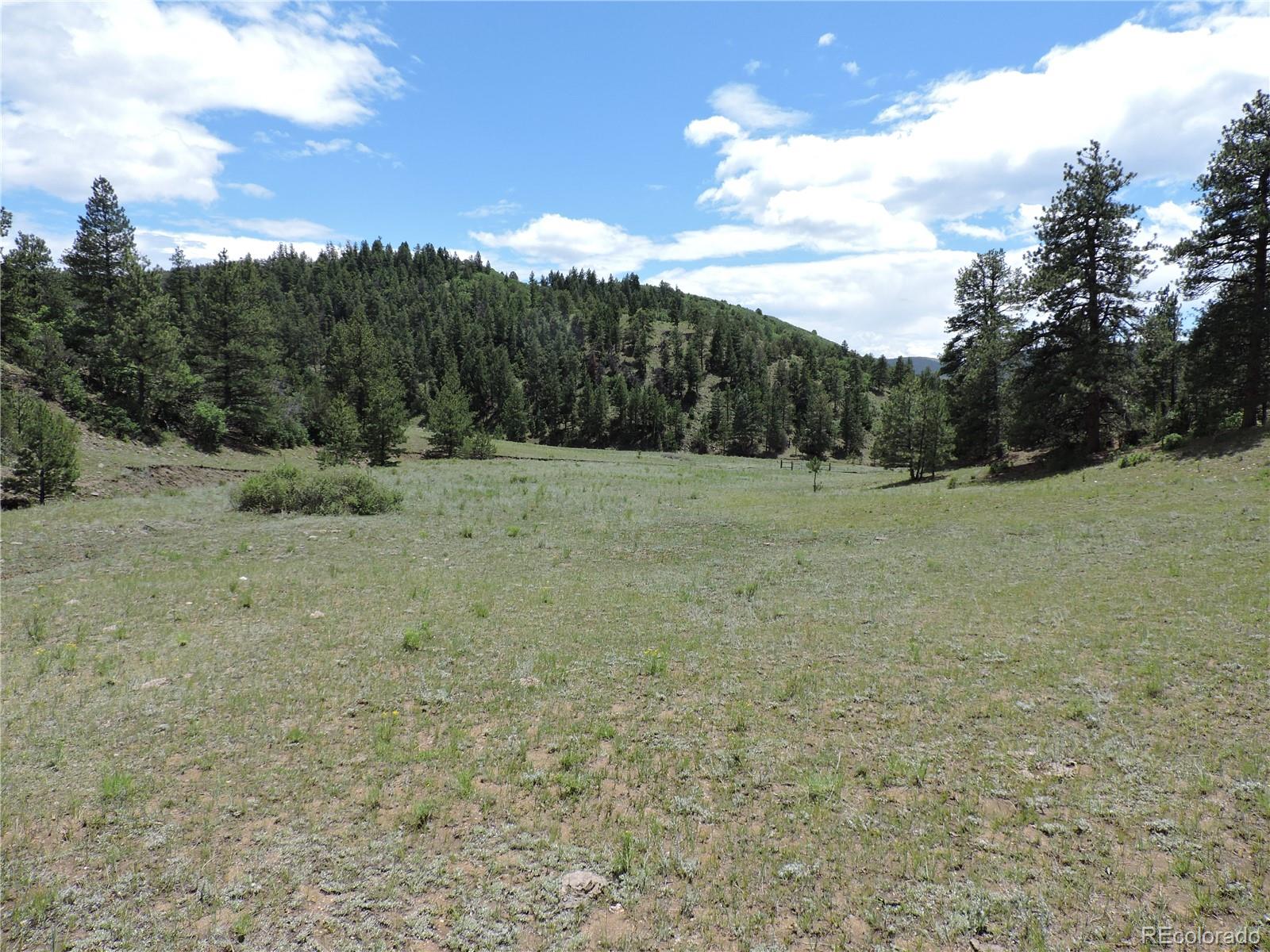 Gulch Road Canon City, CO 81212 - Photo 3 of 20 Gallery Image 3