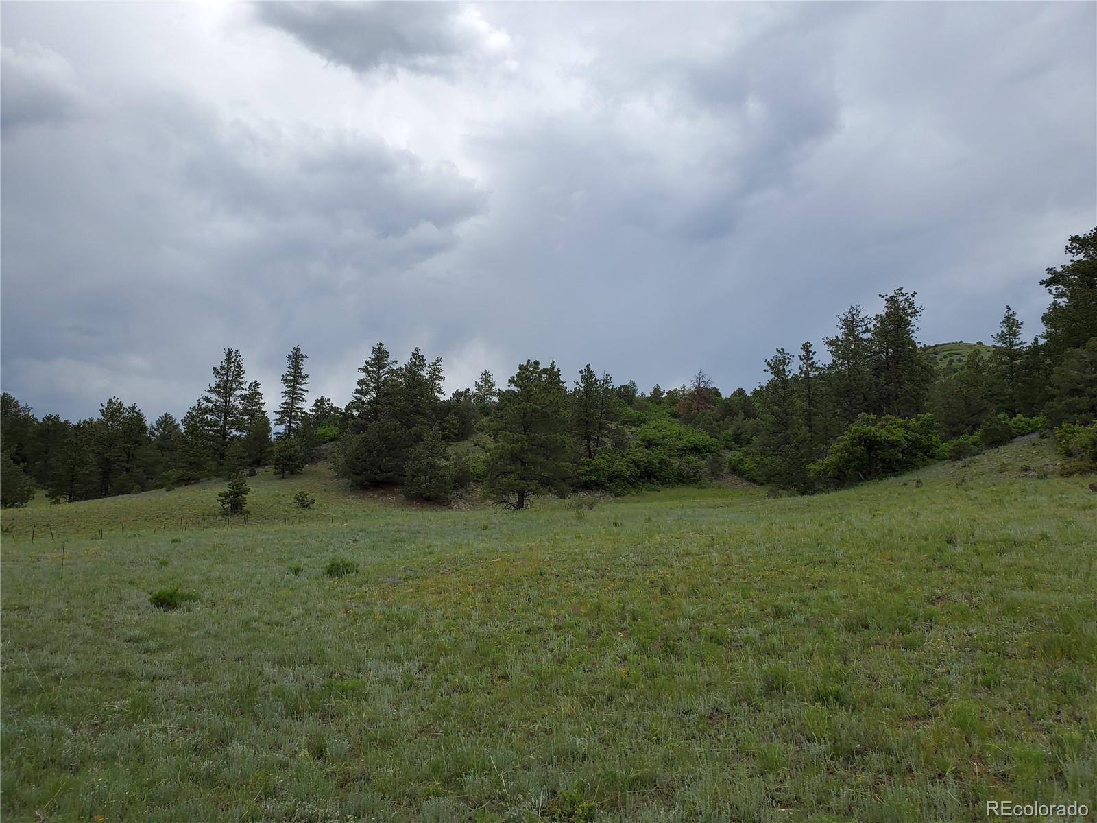 Gulch Road Canon City, CO 81212 - Photo 9 of 20 Gallery Image 9