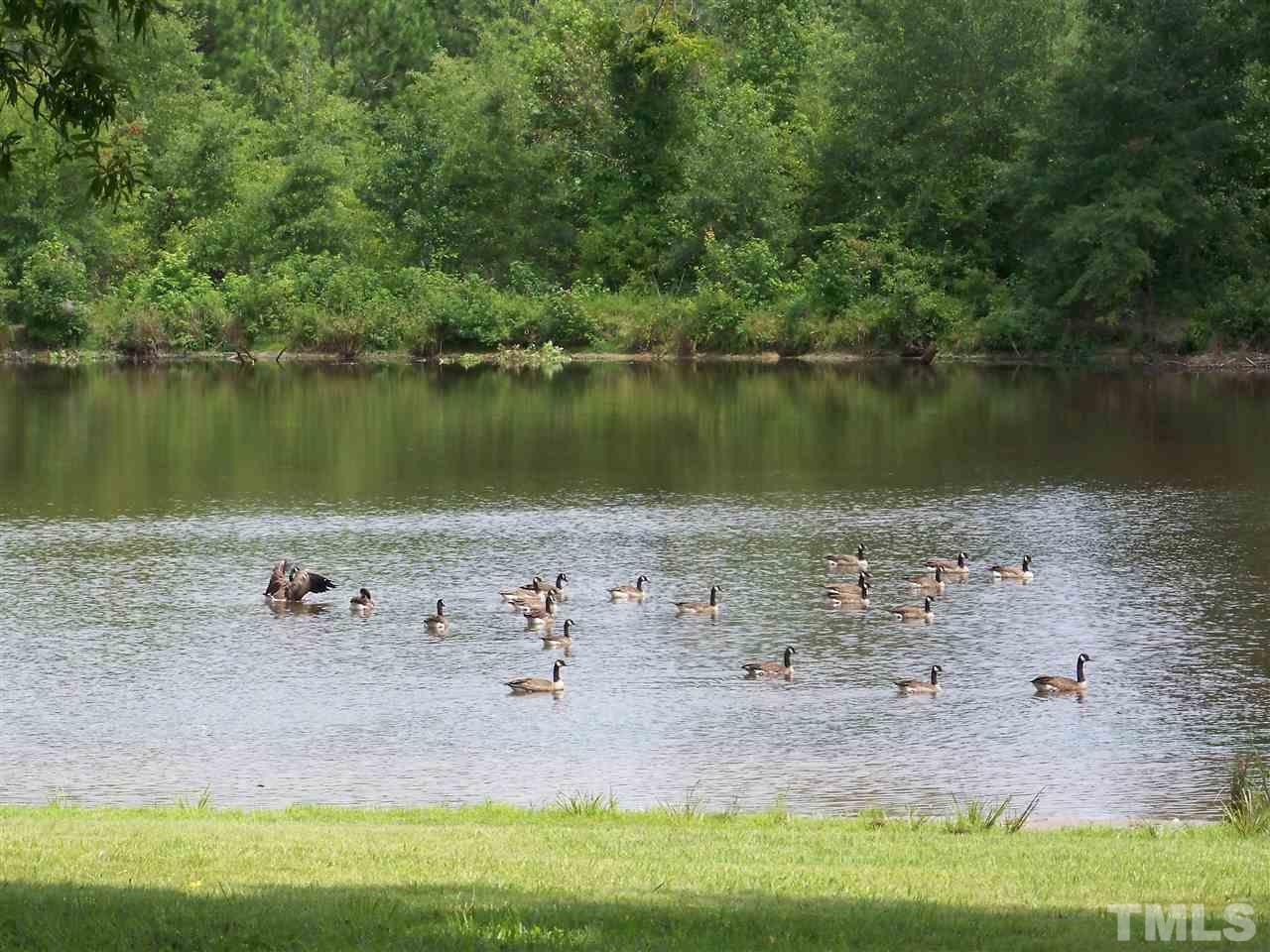 2114 Sanders Road Stem, NC 27581 - Photo 15 of 23 a view of a lake with a yard and trees