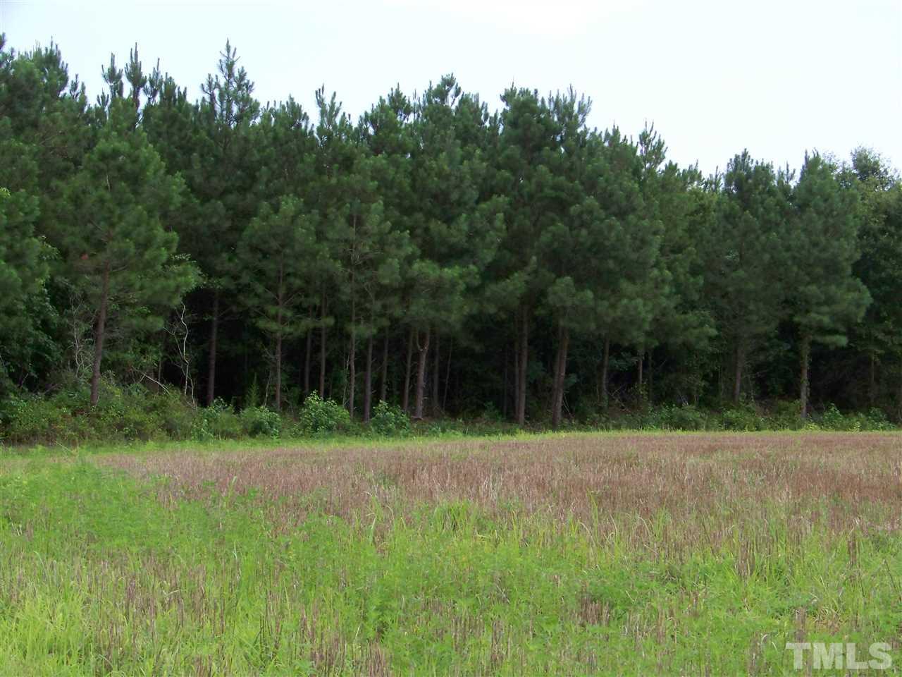 2114 Sanders Road Stem, NC 27581 - Photo 16 of 23 a backyard of a house