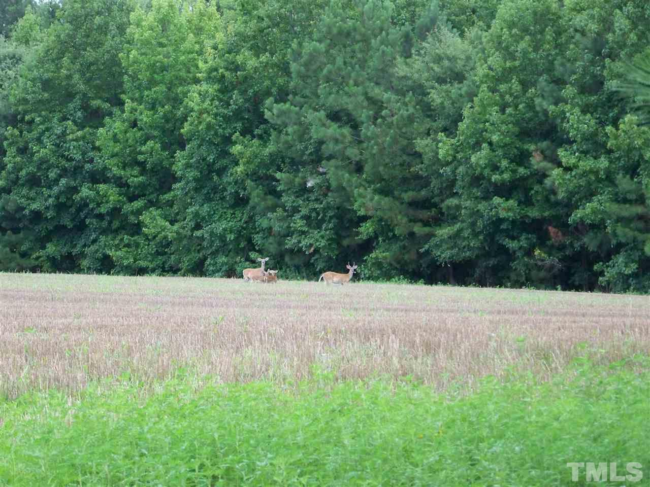 2114 Sanders Road Stem, NC 27581 - Photo 18 of 23 a view of a yard
