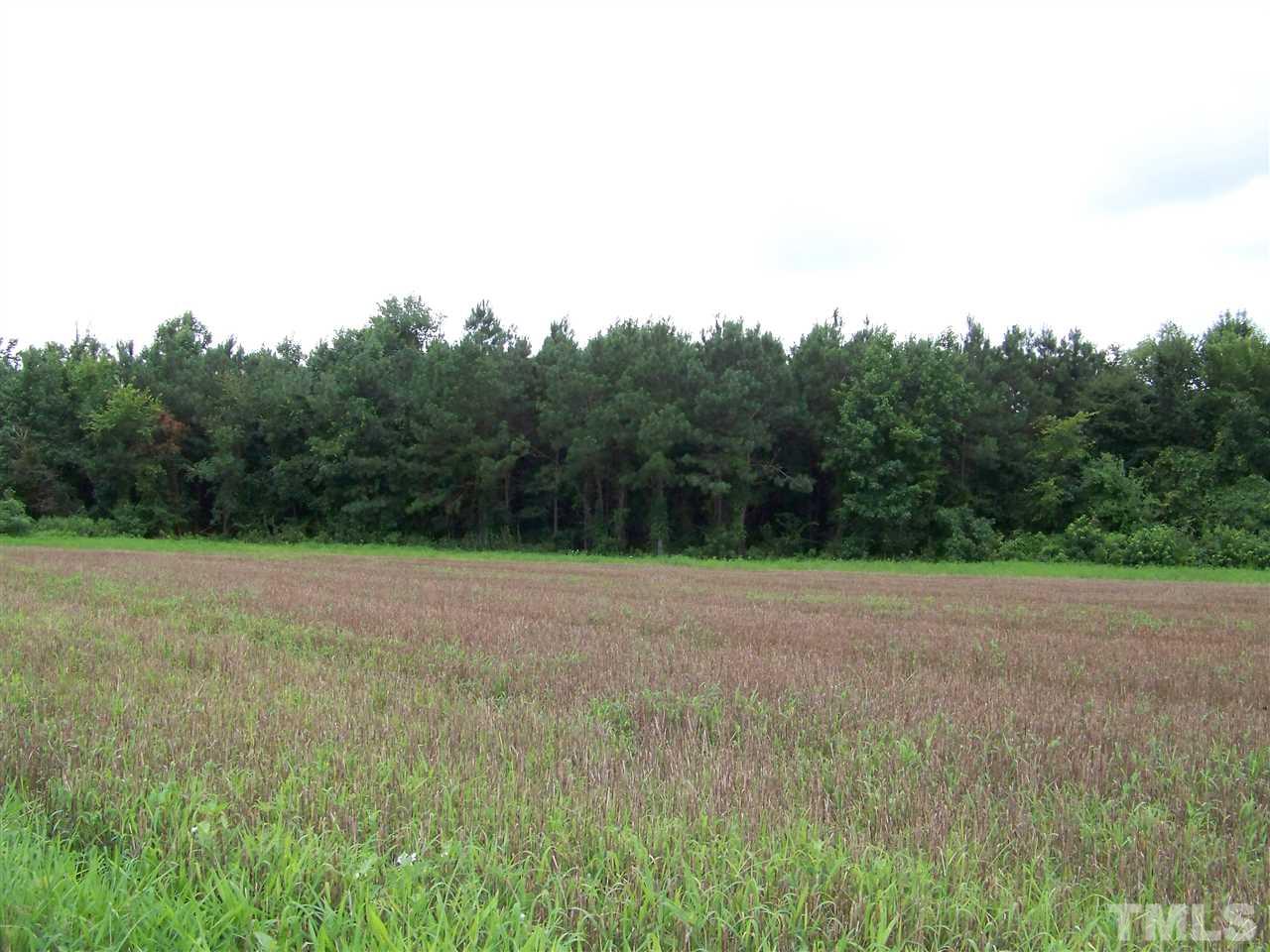 2114 Sanders Road Stem, NC 27581 - Photo 19 of 23 a view of a field with trees in background