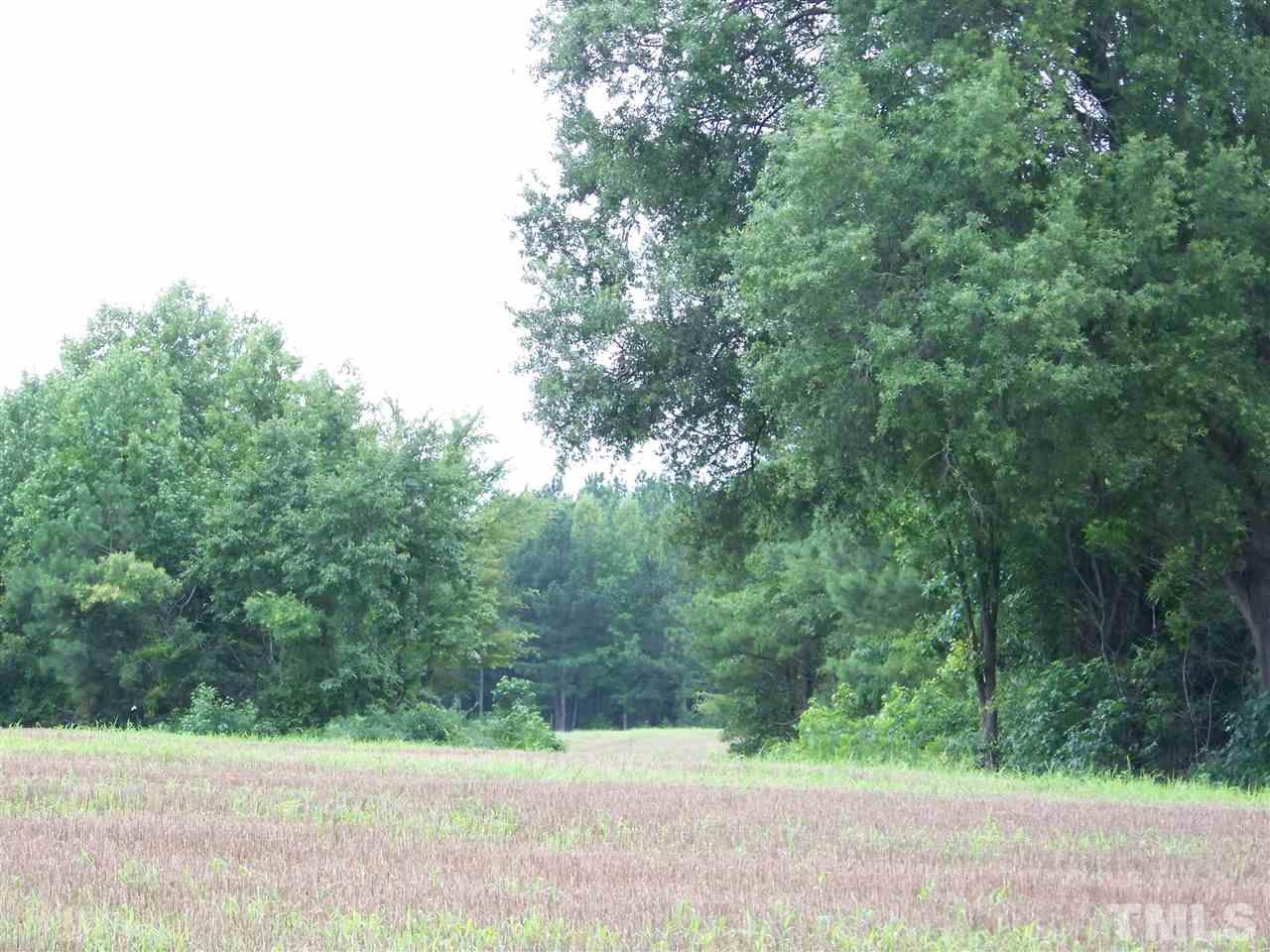 2114 Sanders Road Stem, NC 27581 - Photo 20 of 23 a view of a yard with a tree