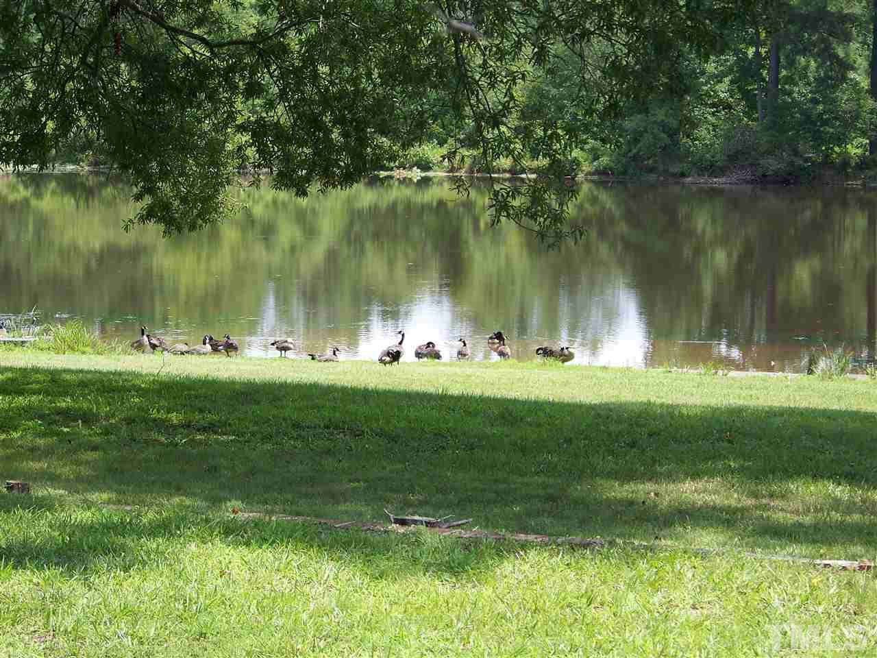 2114 Sanders Road Stem, NC 27581 - Photo 9 of 23 a view of a lake