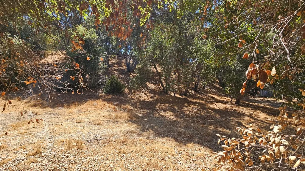 28 East Hillhaven Drive West Covina, CA 91791 - Photo 3 of 8 a view of a yard covered with snow