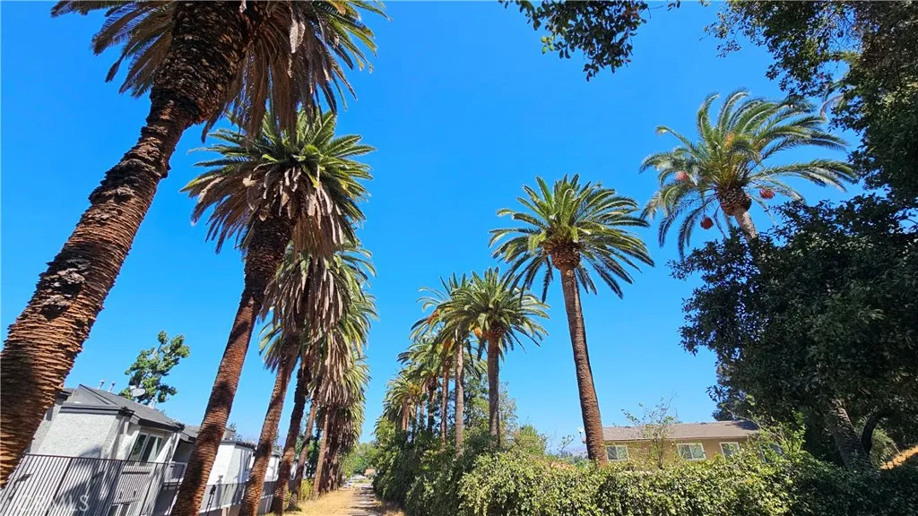 28 East Hillhaven Drive West Covina, CA 91791 - Photo 6 of 8 a view of a palm trees