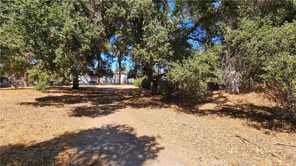 28 East Hillhaven Drive West Covina, CA 91791 - Photo 8 of 8 a view of road with trees