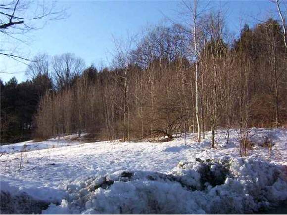 0 County And Rice Road Hartland, VT 05048 - Photo 1 of 1