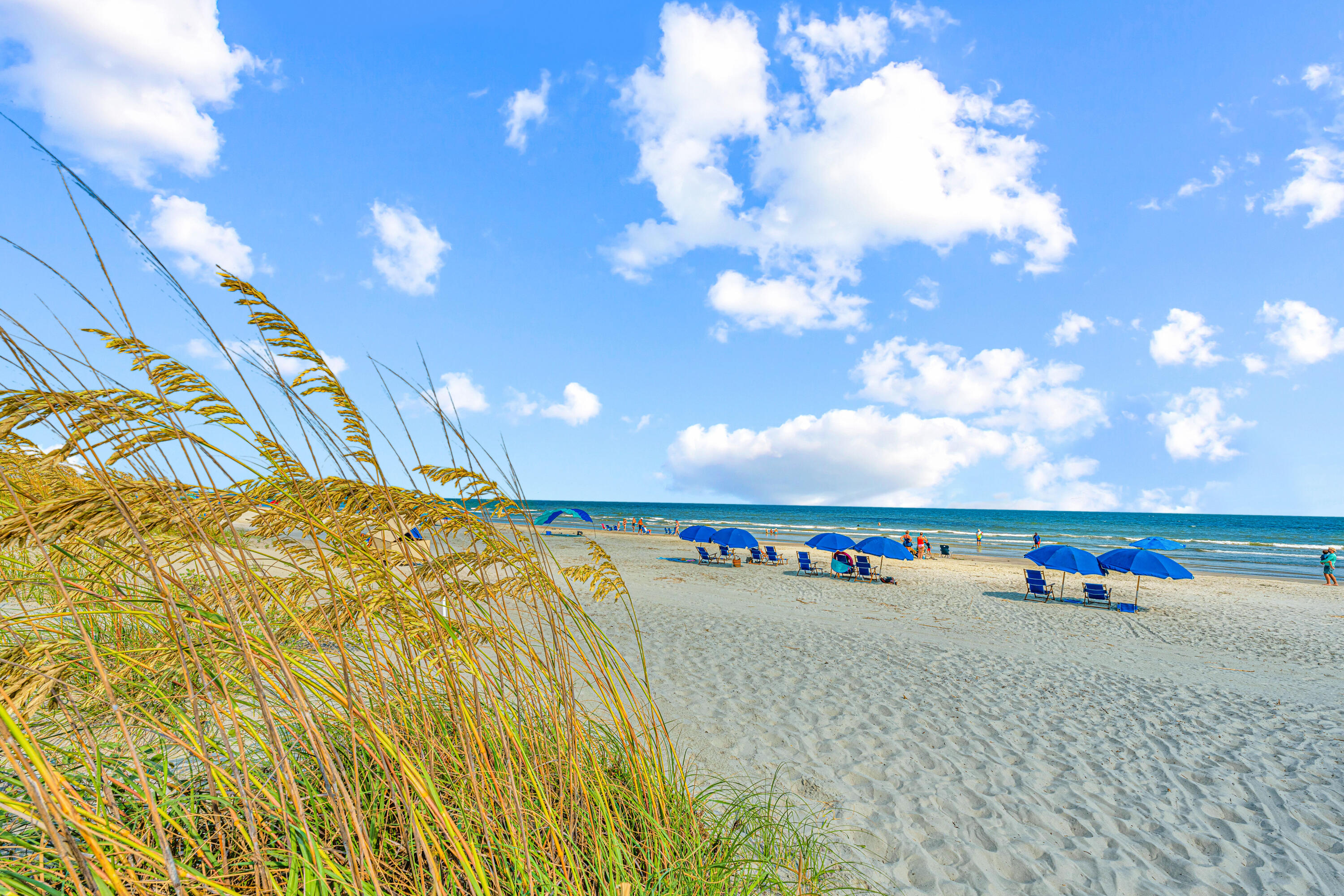 3570 Shipwatch Road Kiawah Island, SC 29455 - Photo 26 of 30 3570ShipwatchRd03