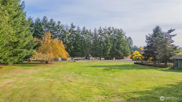 a view of a park with large trees