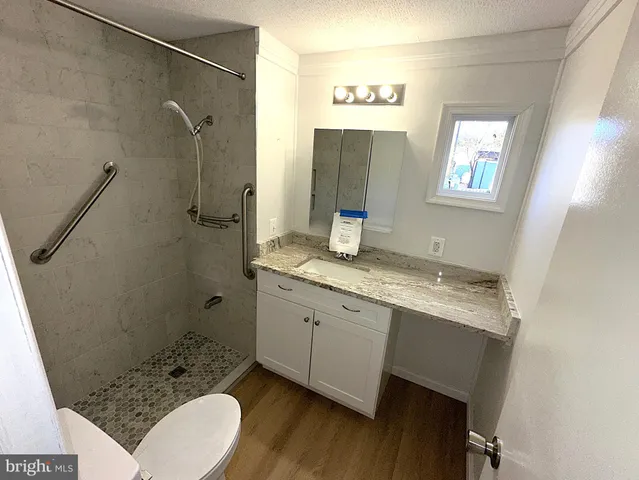 a bathroom with a sink a toilet and a mirror