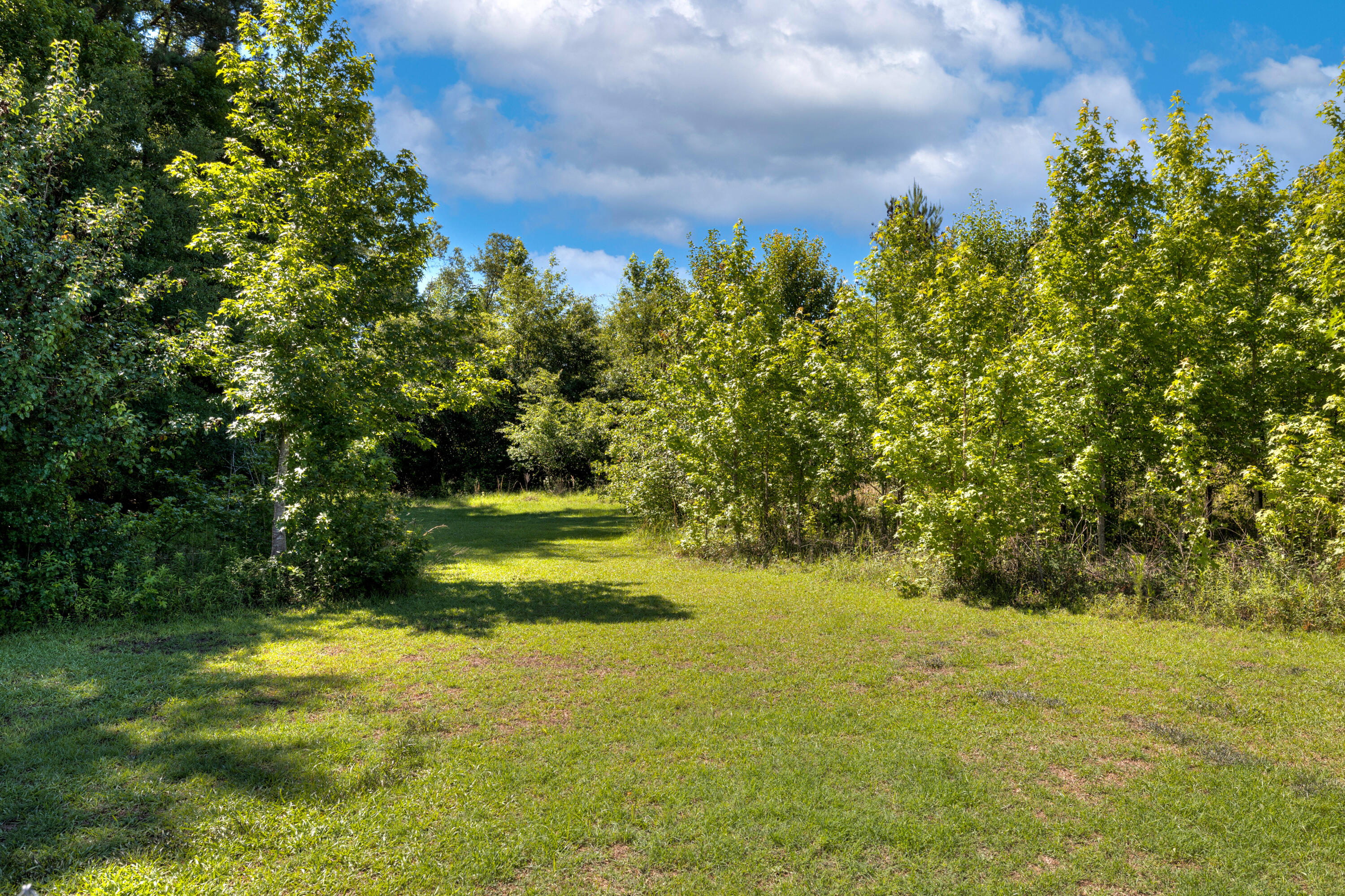 3850 Nazarene Church Road Sumter, SC 29154 - Photo 29 of 37