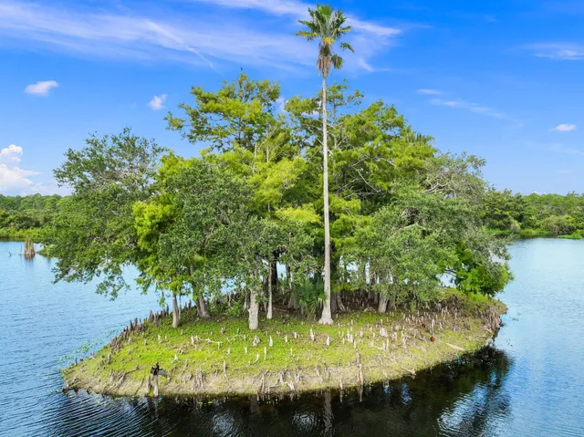a view of a house with a large window and a tree