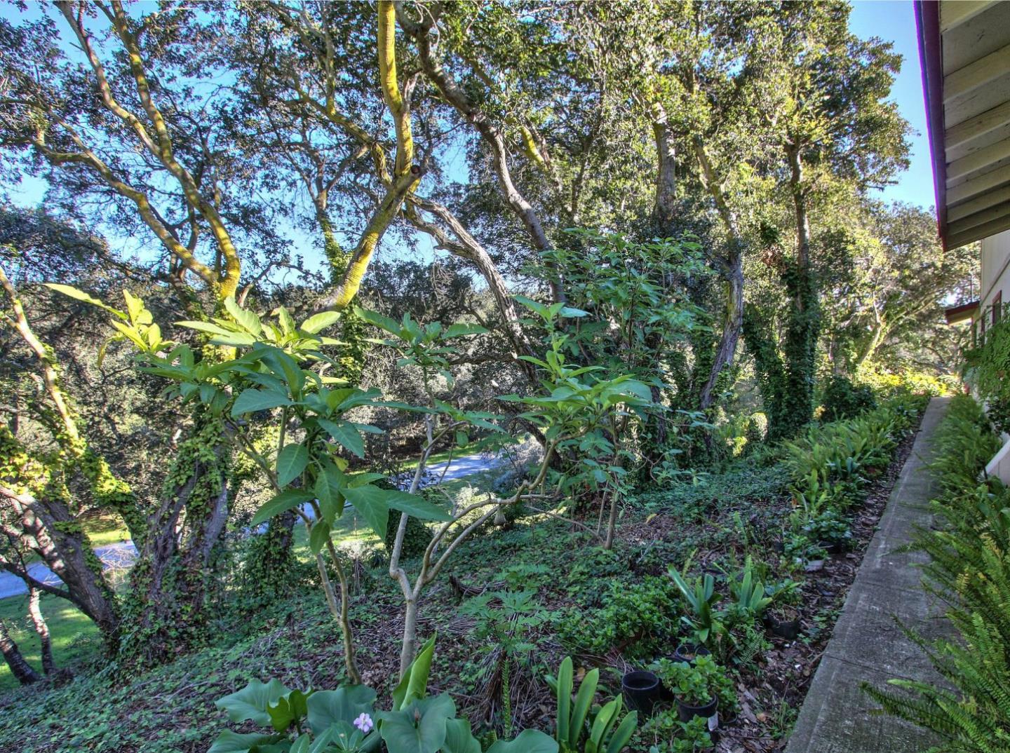 6473 Tustin Road Salinas, CA 93907 - Photo 23 of 24 Gallery Image 23