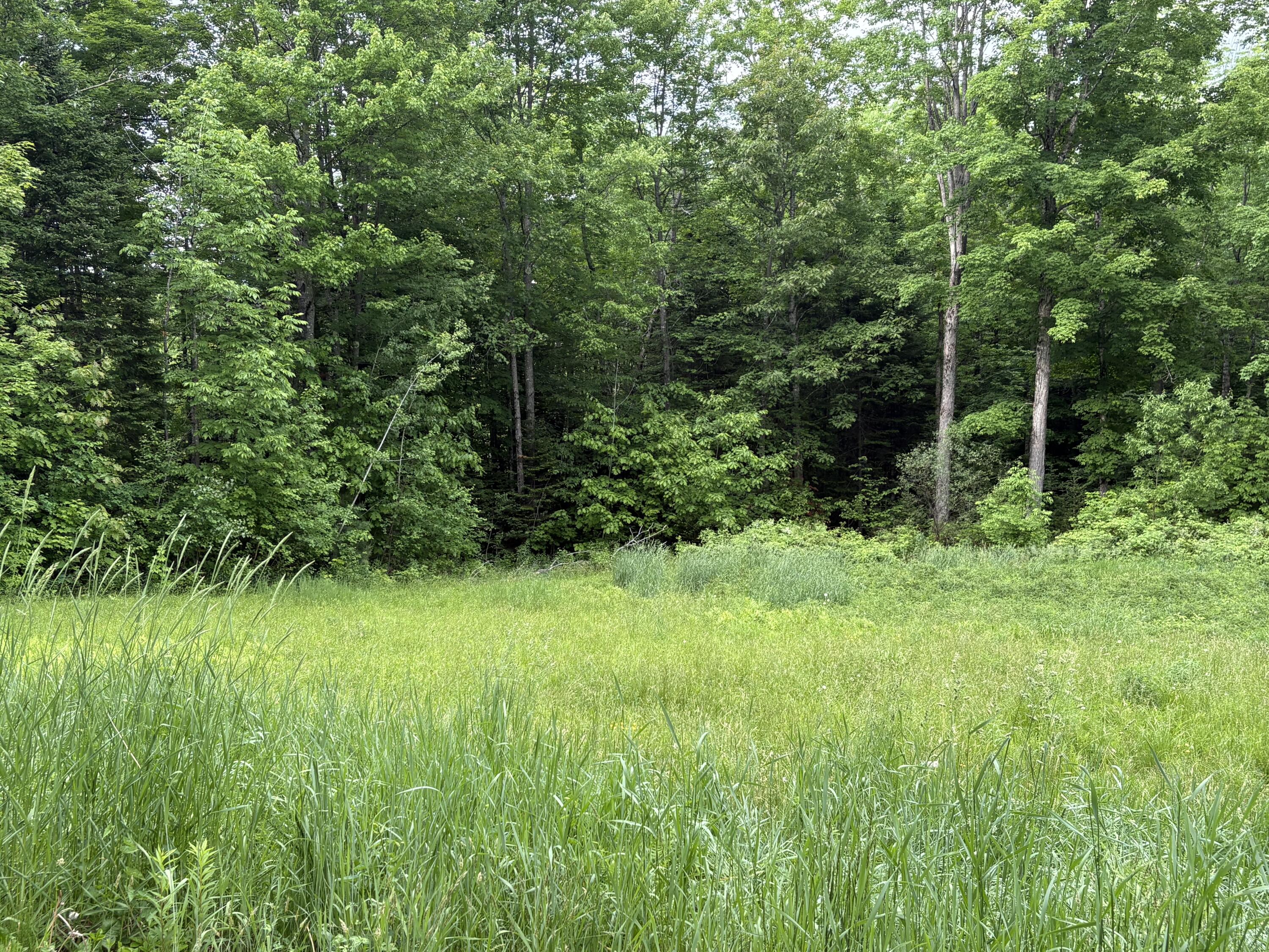 22 Back Parkman Road Abbot, ME 04406 - Photo 7 of 38