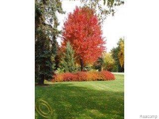 2730 Walbridge Drive Rochester, MI 48307 - Photo 15 of 19 Fall Colors