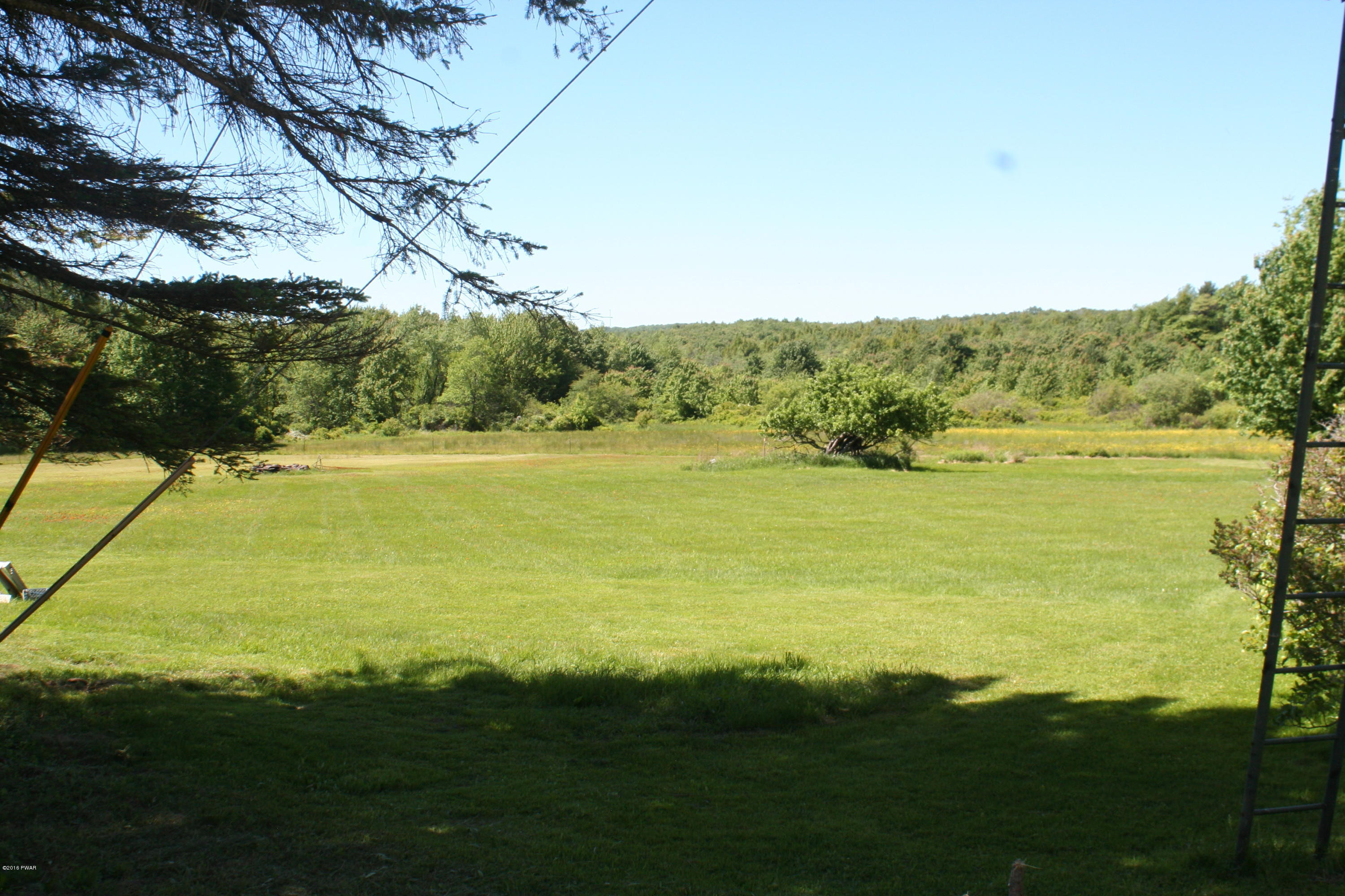 813 Dix Road Pleasant Mount, PA 18453 - Photo 42 of 47 Beautiful fields