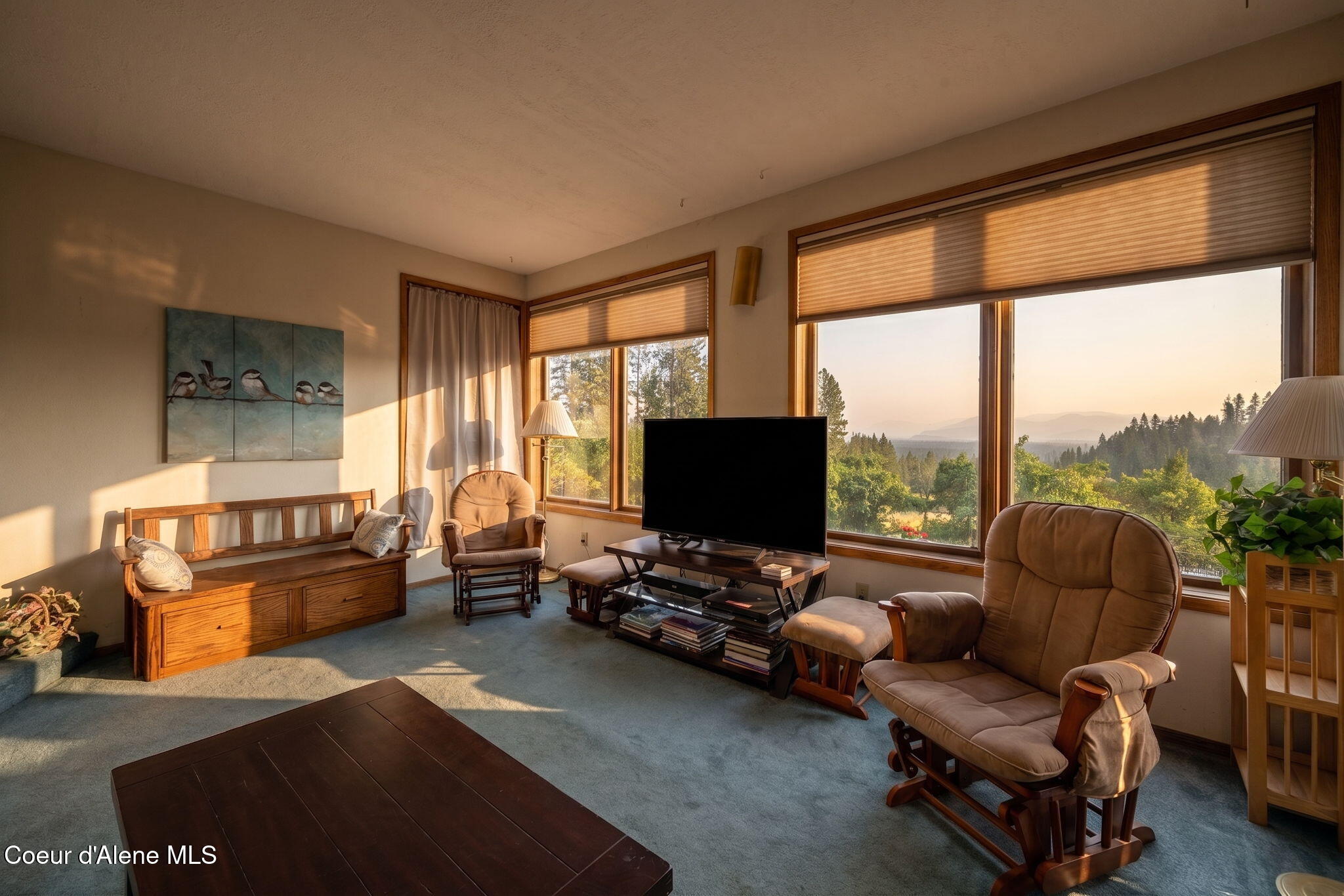 6734 West Sturgeon Road Rathdrum, ID 83858 - Photo 11 of 86 Living Room VA
