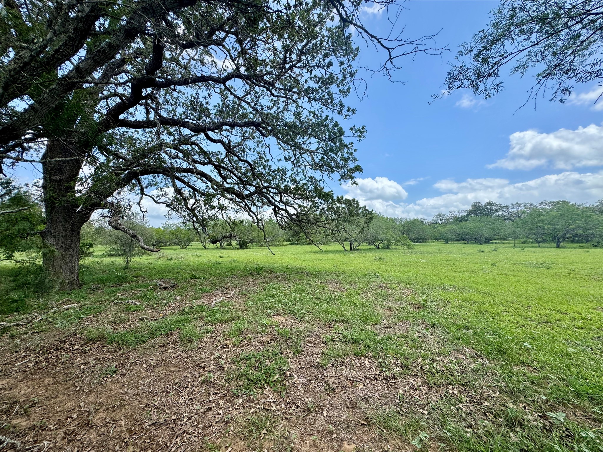 0 Batey Road Nixon, TX 78140 - Photo 3 of 13 a view of an outdoor space with a lake view
