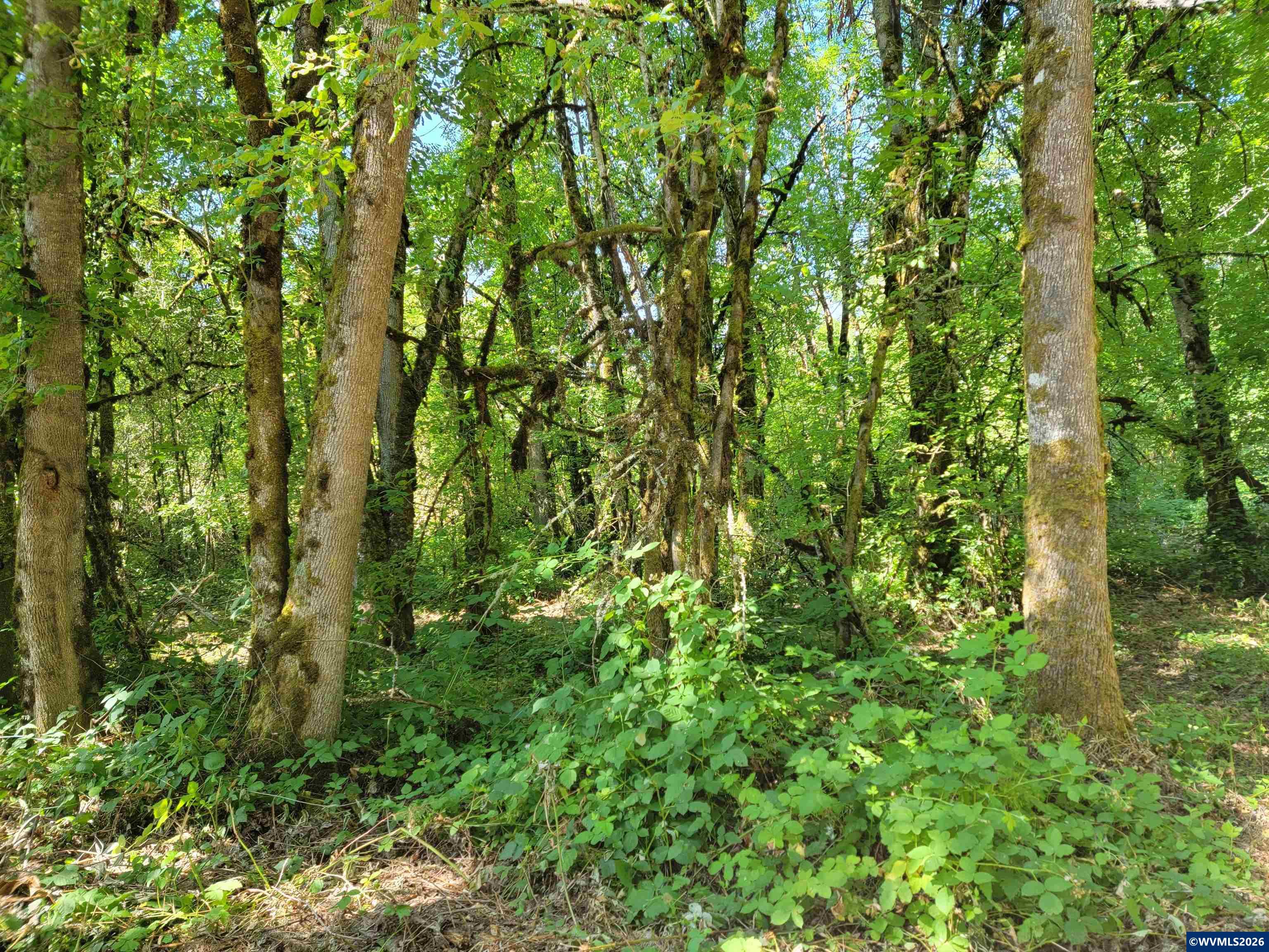0 Oak Grove Albany, OR 97321 - Photo 29 of 30