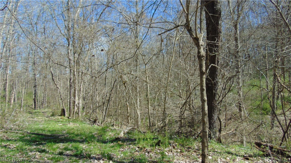 73881 Henderson Ridge Road St. Clairsville, OH 43950 - Photo 26 of 38 ATV trail in the woods