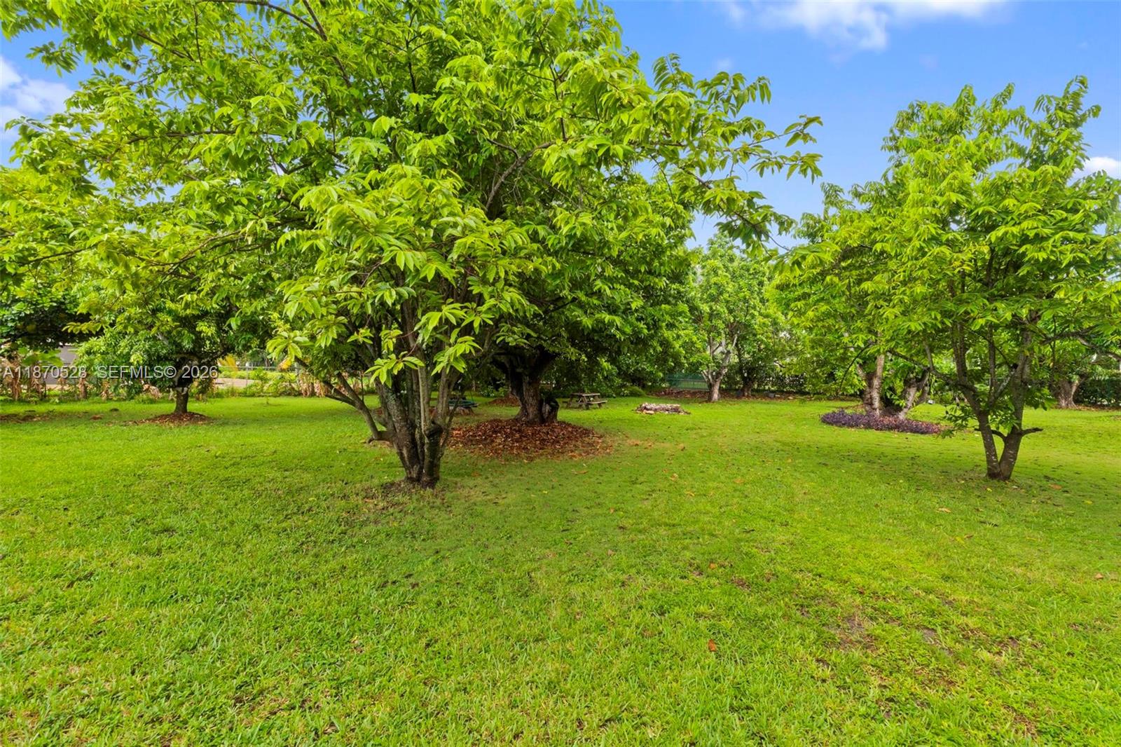 6539 Southwest 84th Avenue Miami, FL 33143 - Photo 16 of 25 a big yard with lots of green space and trees