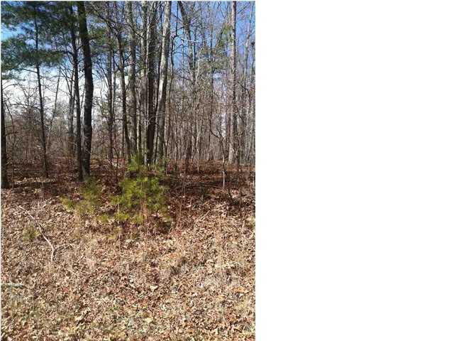 0 Lombardi Road Dunlap, TN 37327 - Photo 2 of 6 Additional Photo