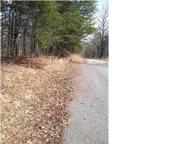 0 Lombardi Road Dunlap, TN 37327 - Photo 3 of 6 Additional Photo