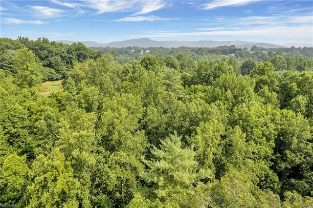 $321,200 | Tbd Friendly Grove Church Road, Millers Creek, NC 28651