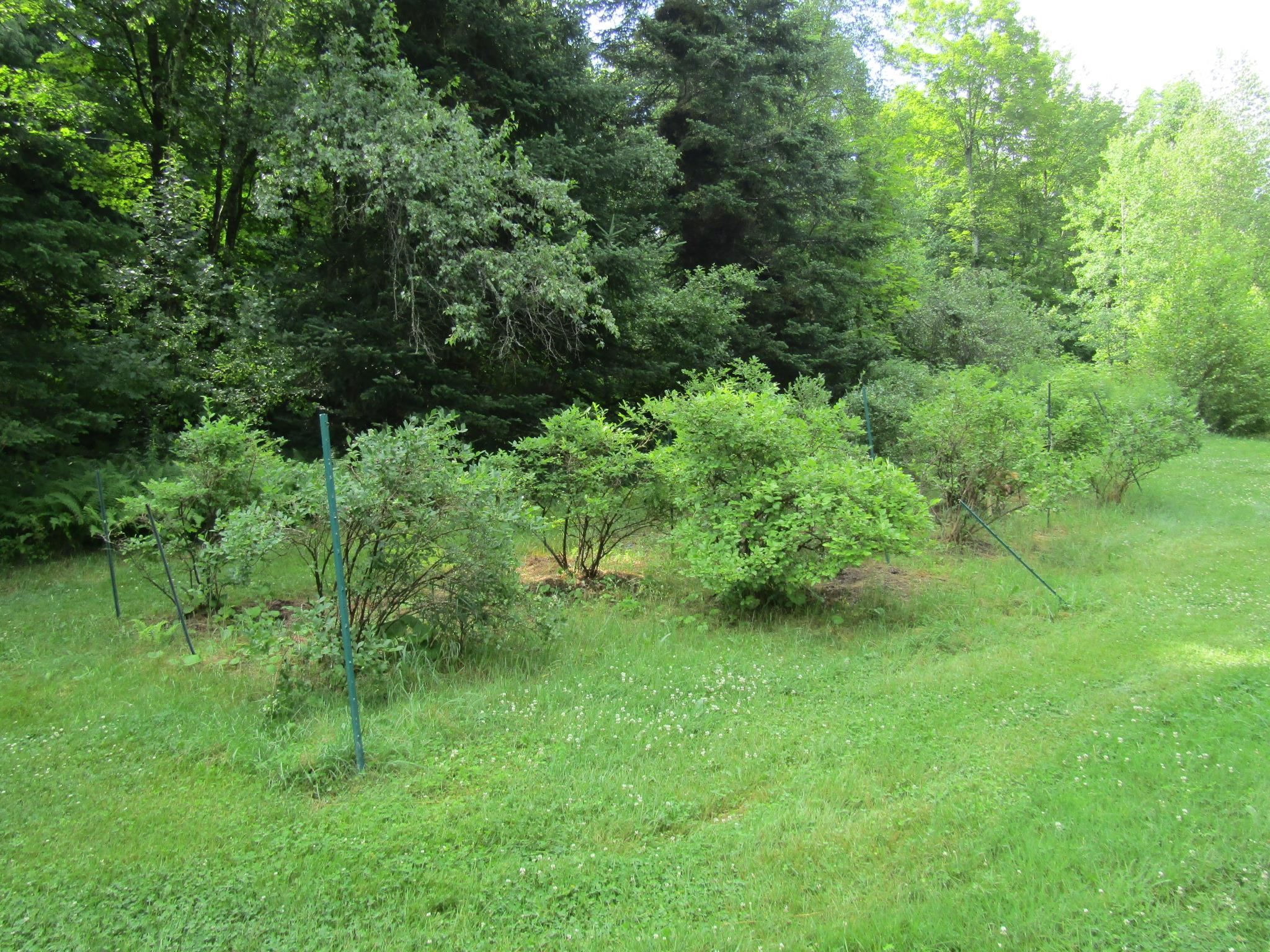 903 Witchcat Road Bakersfield, VT 05450 - Photo 48 of 60 Gallery Image 48